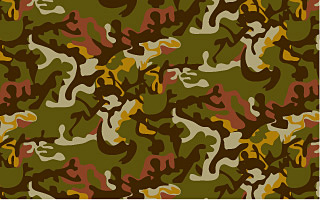 An example of an asymmetrical camouflage pattern