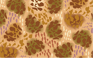 An example of a blotch design