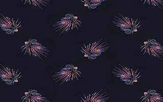 An example of a diamond pattern design created in SymmetryMill