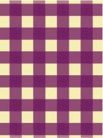 An example of a Gingham design