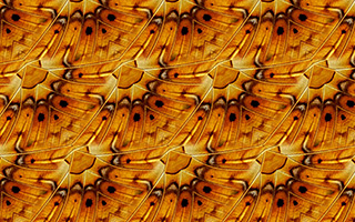 An example of a wallpaper pattern with symmetry group cm created in SymmetryMill
