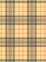 An example of a plaid design
