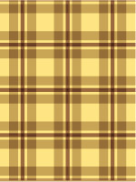 An example of a plaid design