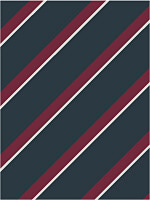 An example of a Regimental stripe design