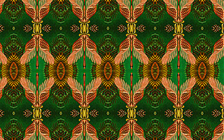 An example of a turnover pattern design created in SymmetryMill