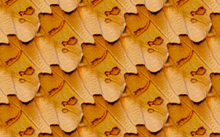 An example of a wallpaper pattern with symmetry group p1 created in SymmetryMill