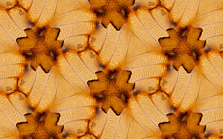 An example of a wallpaper pattern with symmetry group p3 created in SymmetryMill