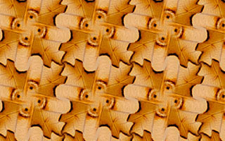 An example of a wallpaper pattern with symmetry group p4 created in SymmetryMill