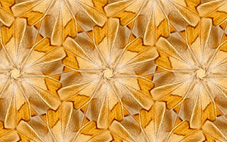 An example of a wallpaper pattern with symmetry group p6 created in SymmetryMill