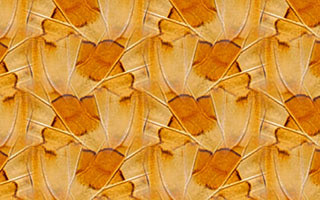 An example of a wallpaper pattern with symmetry group pg created in SymmetryMill