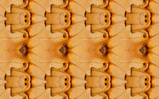 An example of a wallpaper pattern with symmetry group pm created in SymmetryMill