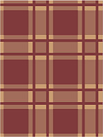 An example of a windowpane check design