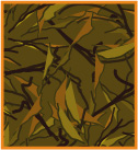 Camouflage patterns